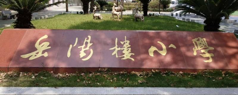 岳阳学府新城上哪个小学（岳阳学府新城上哪个小学比较好）