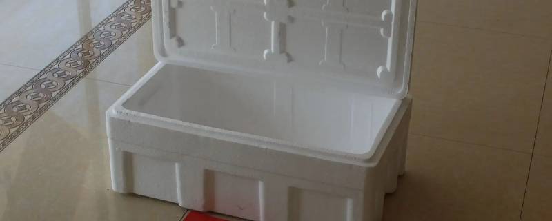 什么厂需要泡沫箱（什么厂需要泡沫箱子）