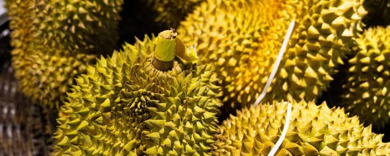 过生日送榴莲不包装可以吗 过生日能送榴莲吗