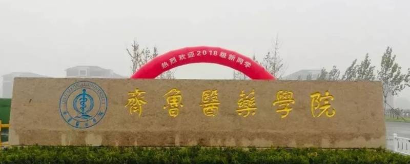 齐鲁医药学院专升本毕业证书啥样（山东齐鲁医药学院专升本自荐）