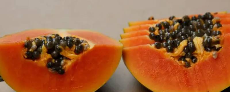 深红心瓜什么品种 红心脆甜瓜品种