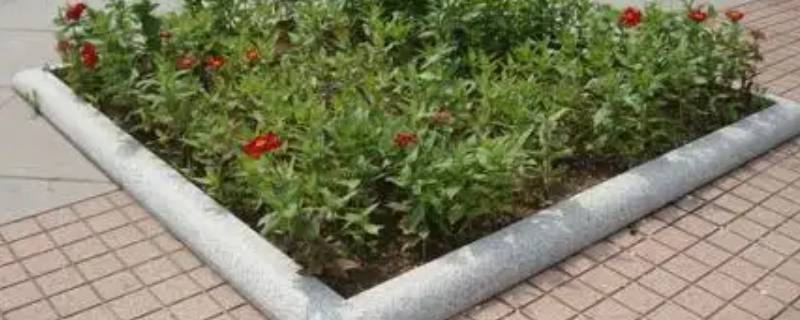 天津爱尔树穴石规格