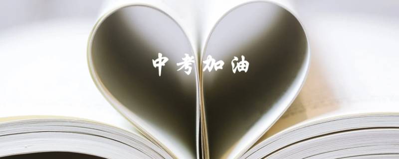 中考因为拉肚子可以补考吗 今年中考可以补考吗