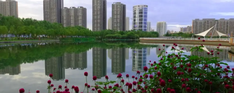 新疆库尔勒巴音小区是学区房吗（库尔勒学区房有哪些）