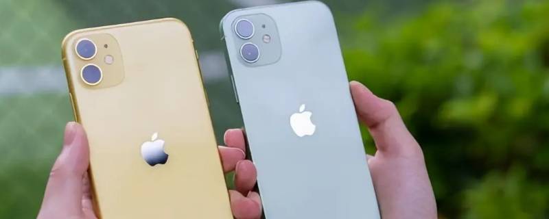 菲律宾苹果用什么语言（菲律宾用哪国语言）