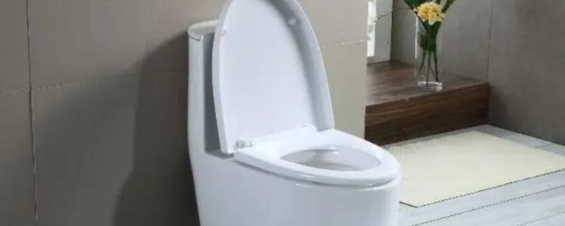 马桶无盖板是什么意思