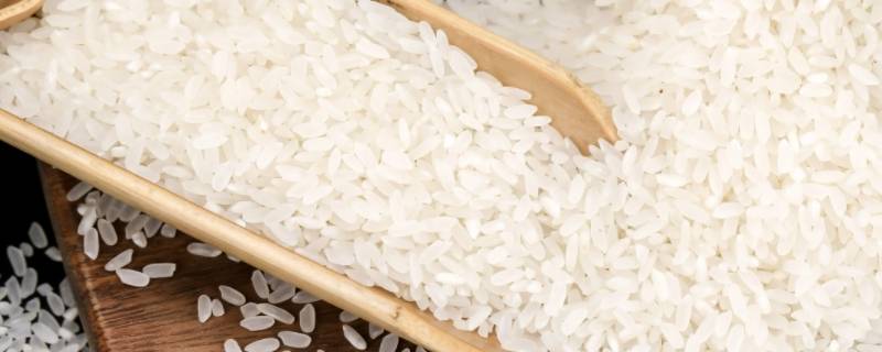 贵州没有米吗 贵州产米吗