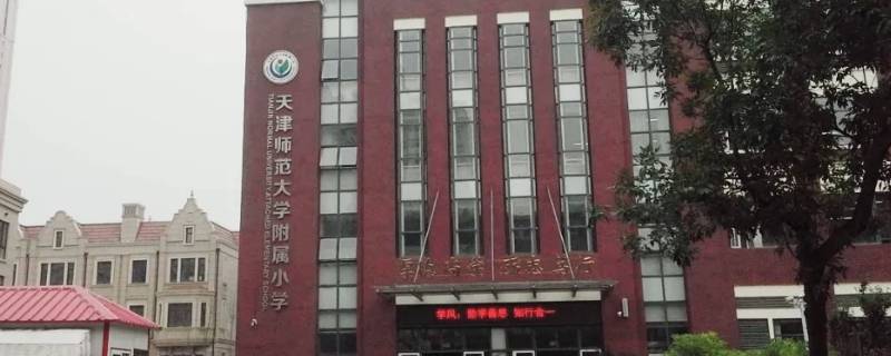 天津私立小学摇上号可以不去么（天津公立小学明年会摇号吗）