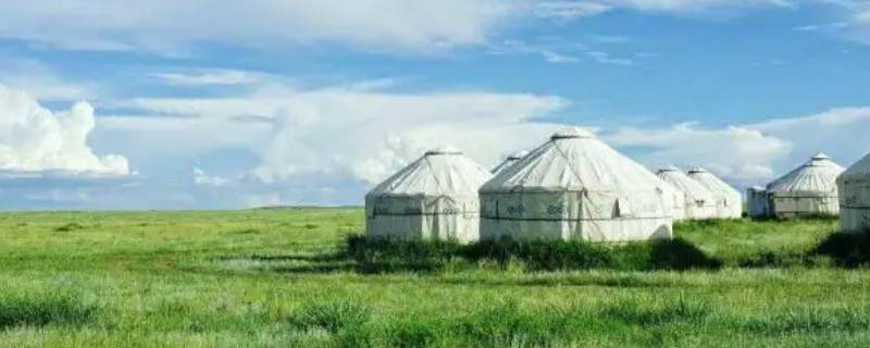 鄂尔多斯大松树能去吗 鄂尔多斯准格尔旗大松树