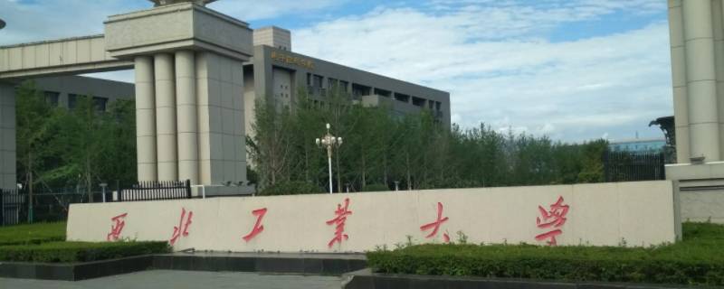 侃哥哪里毕业的（侃英语侃哥是谁）