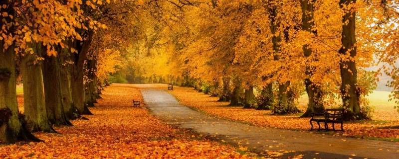 一别二十秋是什么意思（二十一个秋是什么意思）