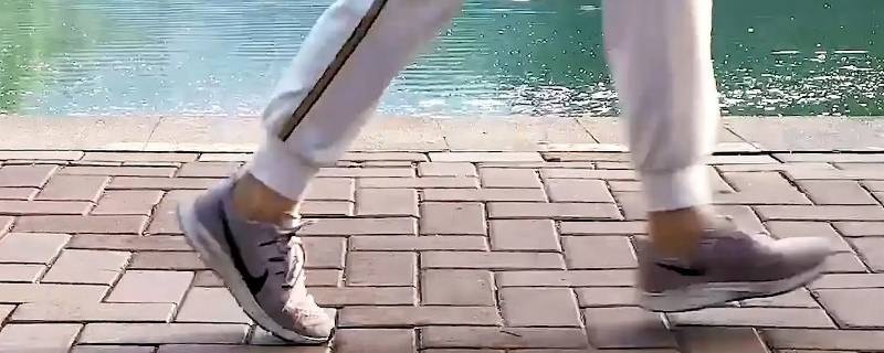 期待回家的脚步是什么意思（回家前的期待后面是什么）