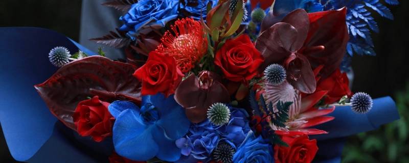 aof花艺是哪个国家 AOF花艺