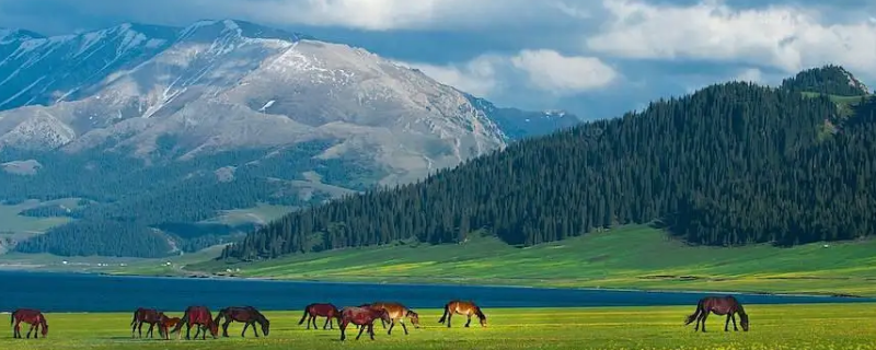 进入新疆有几个入口 进入新疆有几个入口站