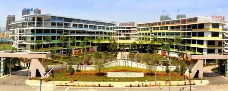 润城学校是不是体校