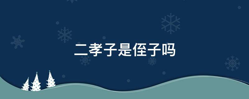 二孝子是侄子吗 二孝子是侄子吗还是堂姐