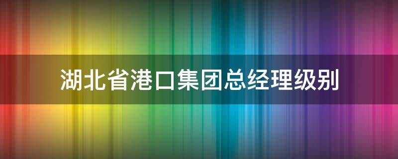 湖北省港口集团总经理级别（湖北省港口集团总经理级别是什么）