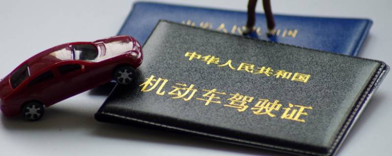 驾照的照片是自己提供的吗