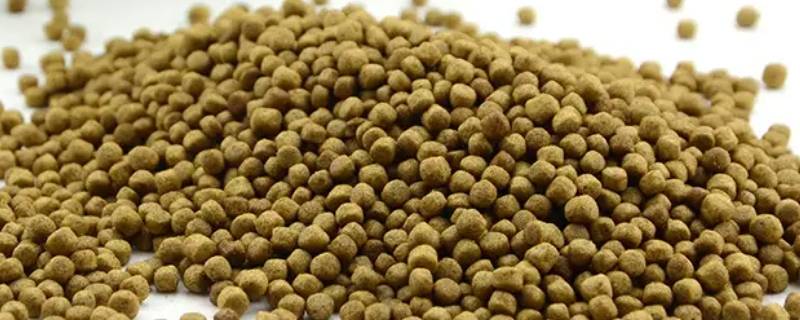 莫斯特饲料保质期多久（莫斯特饲料 哪家保真）