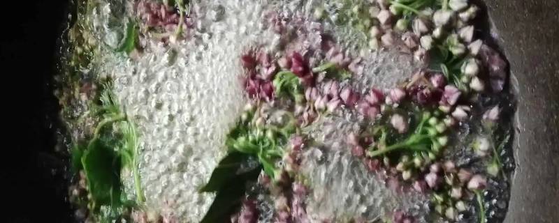 奶浆花什么时候开 奶浆花什么时候种植