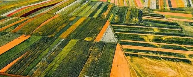 华北平原粮食产量占比（东北平原和华北平原粮食产量）