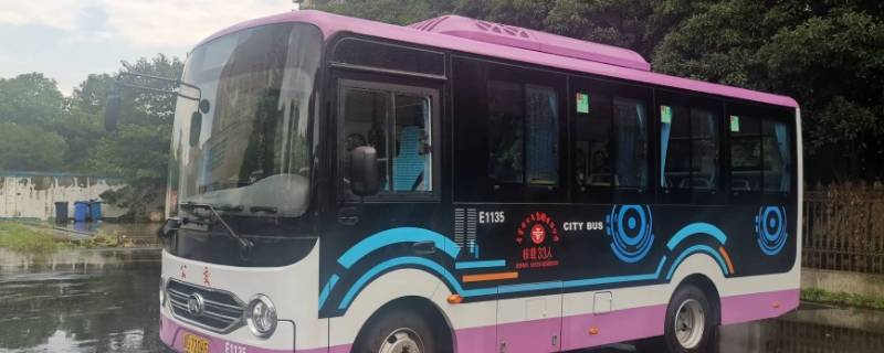 西咸公交可以带小鸡吗