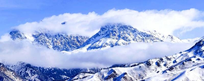 雪域神山的故事是真的吗（雪域神山歌曲讲的是什么故事）