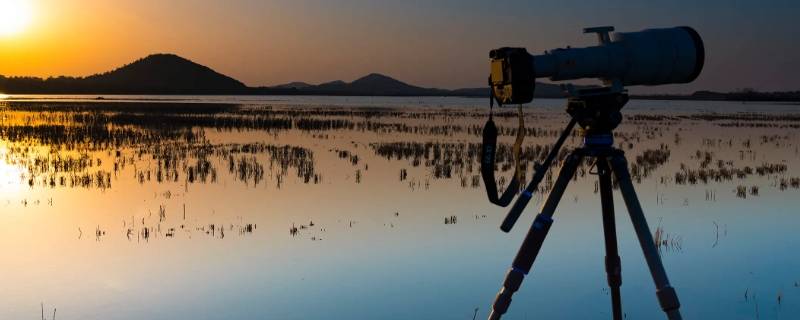 给摄影师加鸡蛋什么意思（为什么要说要给摄影师加一个鸡腿）