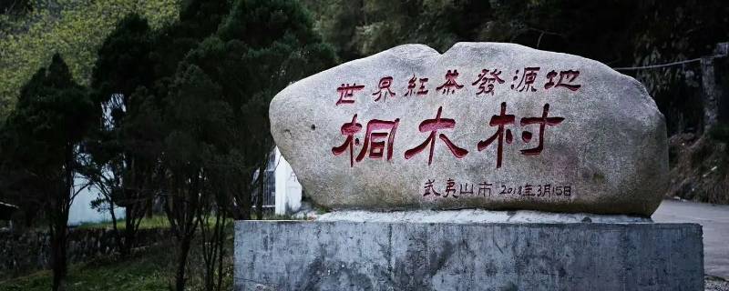 名侦探学院第五季桐木村在哪里（侦探学院第三季）