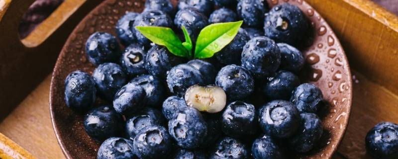 艾露蓝莓口味如何（艾露蓝莓口味如何辨别真假）