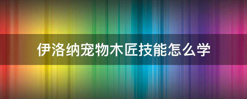 伊洛纳宠物木匠技能怎么学 伊洛纳宠物木匠技能怎么学