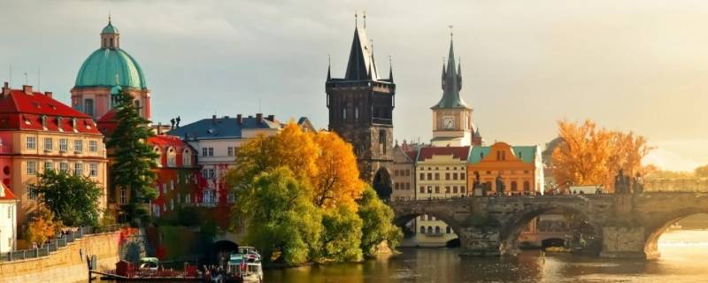 德国国家元首是什么职位什么性质（德国国家首脑是谁）