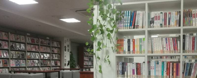 工会阅览室摆放什么书法作品 工会阅览室摆放什么书籍