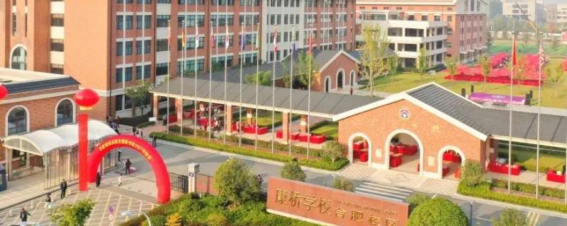合肥新站中学要交学费吗（合肥新站中学要交学费吗初中）