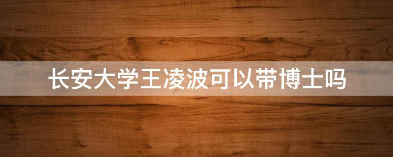 长安大学王凌波可以带博士吗（长安大学的博士）