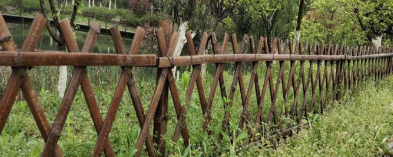 碳化竹插土里会腐烂吗（碳化竹插土里会腐烂吗图片）