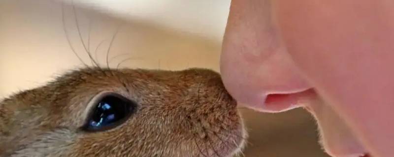 女生鼻孔小是化妆的原因吗（女生鼻孔小是化妆的原因吗图片）