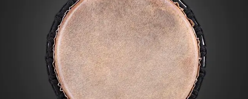 羊皮鼓皮一泡出卷怎么回事