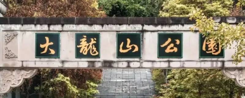 重庆大龙山附近公园里有柳树吗（重庆哪个公园有柳树）