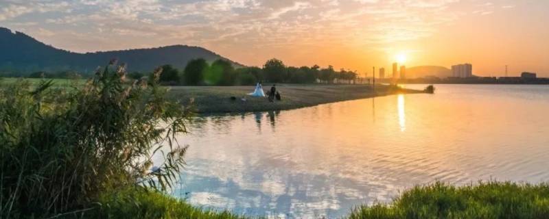 江阴云亭哪里有钓龙虾的地方(江阴云亭钓鱼的地方)