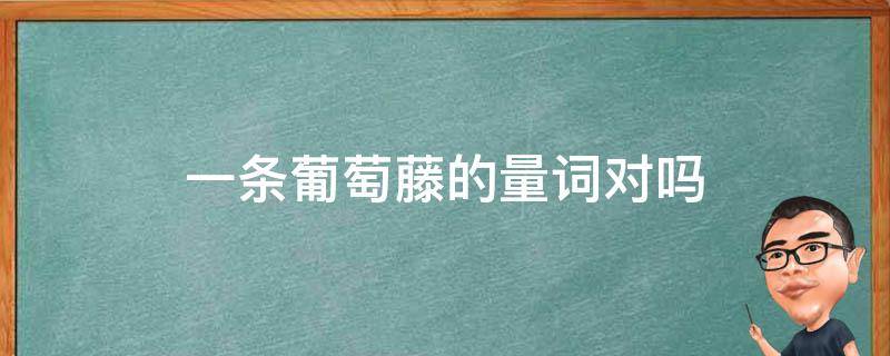 一条葡萄藤的量词对吗（一什么葡萄藤的量词）