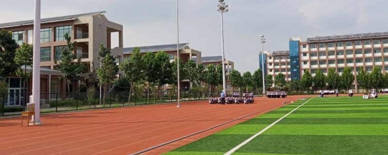 菏泽一中花钱能上吗（菏泽一中花钱能上吗高中）