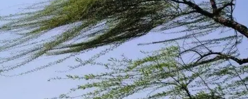 近风还是进风（进风是什么）