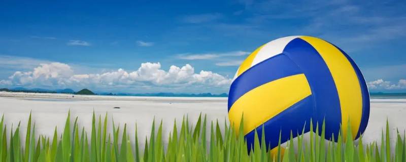 洋湖雅礼中学排球队要怎么进（雅礼中学篮球队）