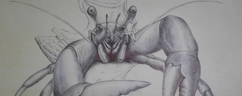 素描考级和舞蹈考级时间一样吗（素描考级和舞蹈考级时间一样吗知乎）