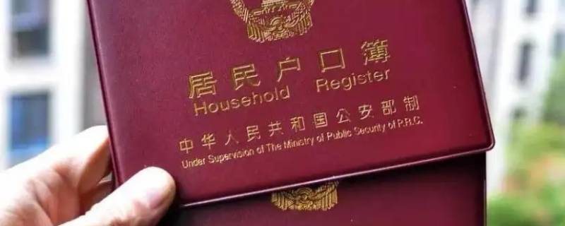 集体户口落户可以找人办吗保山 海口落户落到哪里集体户