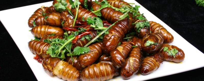 泥鳅和蚕蛹哪个蛋白质最高 泥鳅和蚕蛹哪个蛋白质最高些