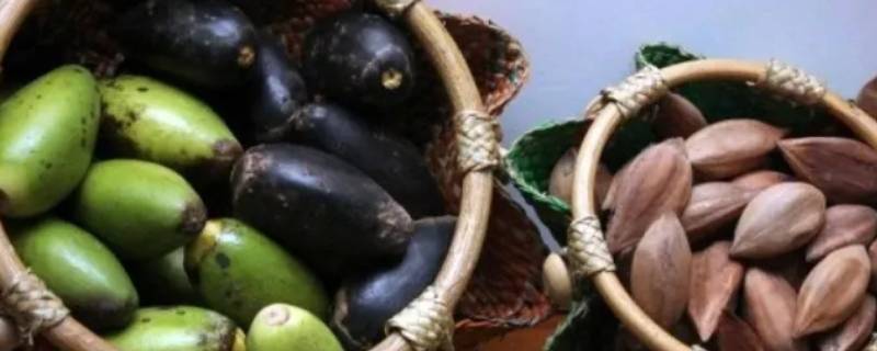 菲律宾霹雳果在哪里可以买到（霹雳果能吃吗）