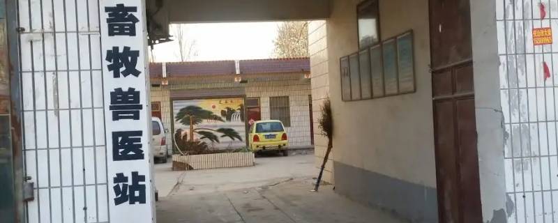 乌鲁木齐兽医站卖鸟的几点关门 乌鲁木齐卖鸟的市场在什么地方