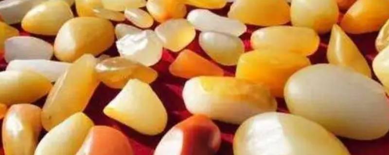 金丝玉适合金扣头吗（金丝玉有金丝吗）